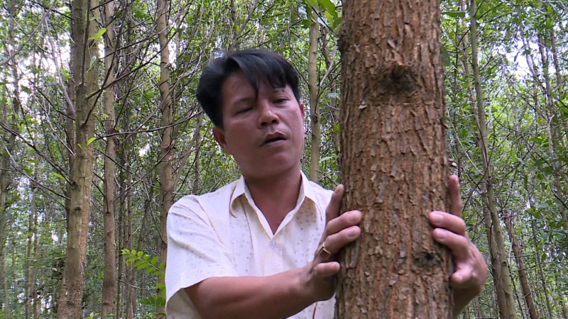 Quảng Nam: Nỗ lực trồng và bảo vệ rừng là tiền đề để phát triển bền vững (01/12/2022)